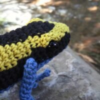 Dart frog crochet